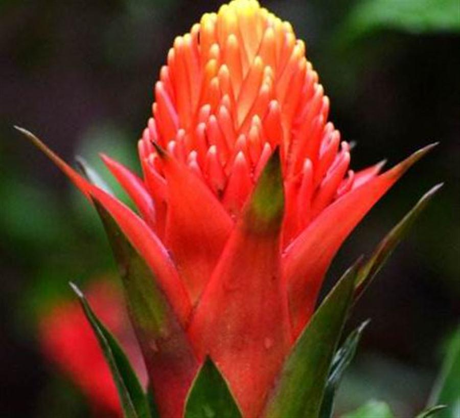 美图美文美情（周延锋）：幸福从来就有多种姿态