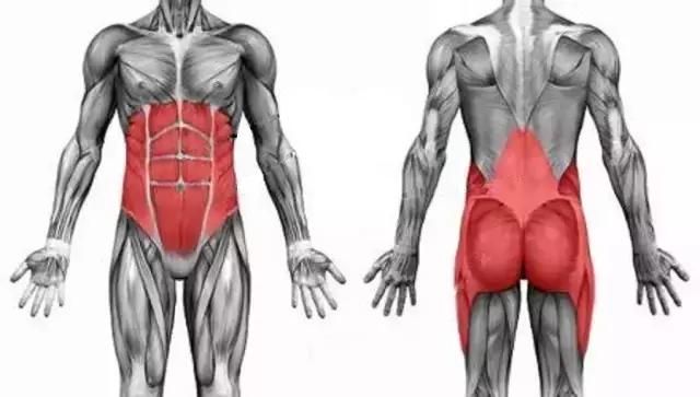 瘦腹瘦腰的高效燃脂动作,瘦肚子瘦腰最快的动作极速燃脂