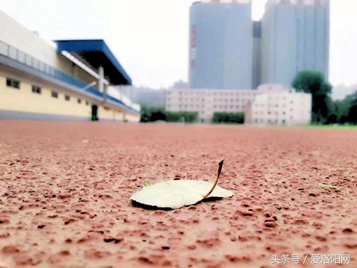 再见再见渡边淳一小说简介,再见原作