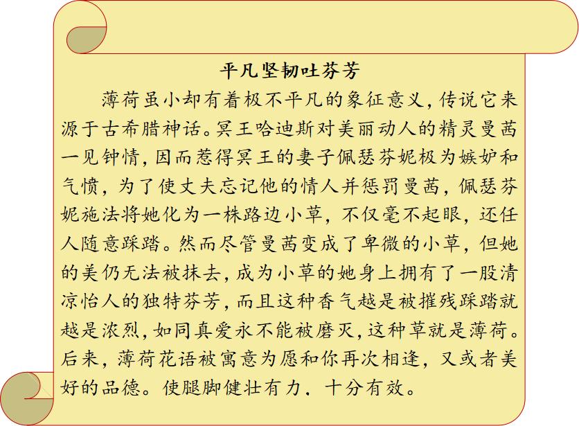 中药传奇书籍,中药传奇小说