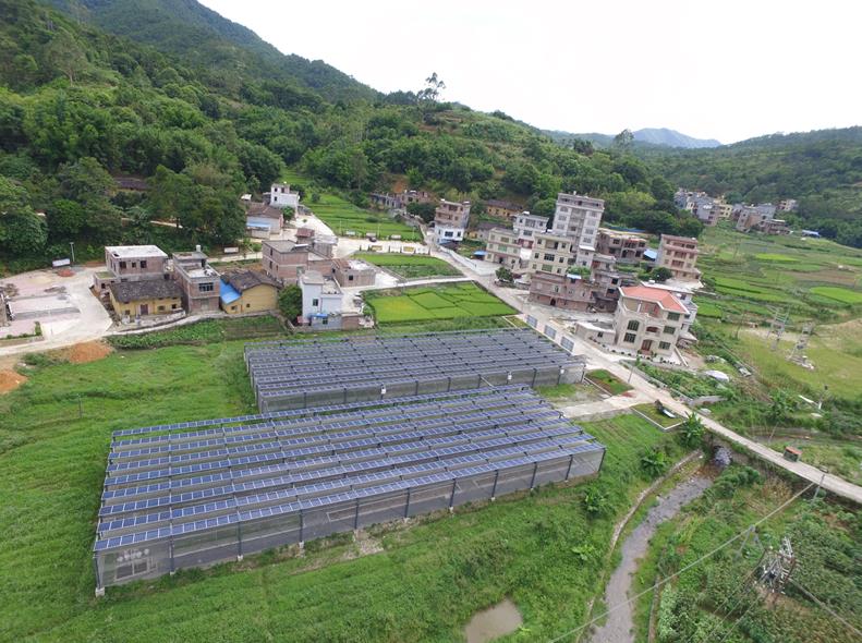 广东云浮振兴乡村,云浮云安乡村振兴工程