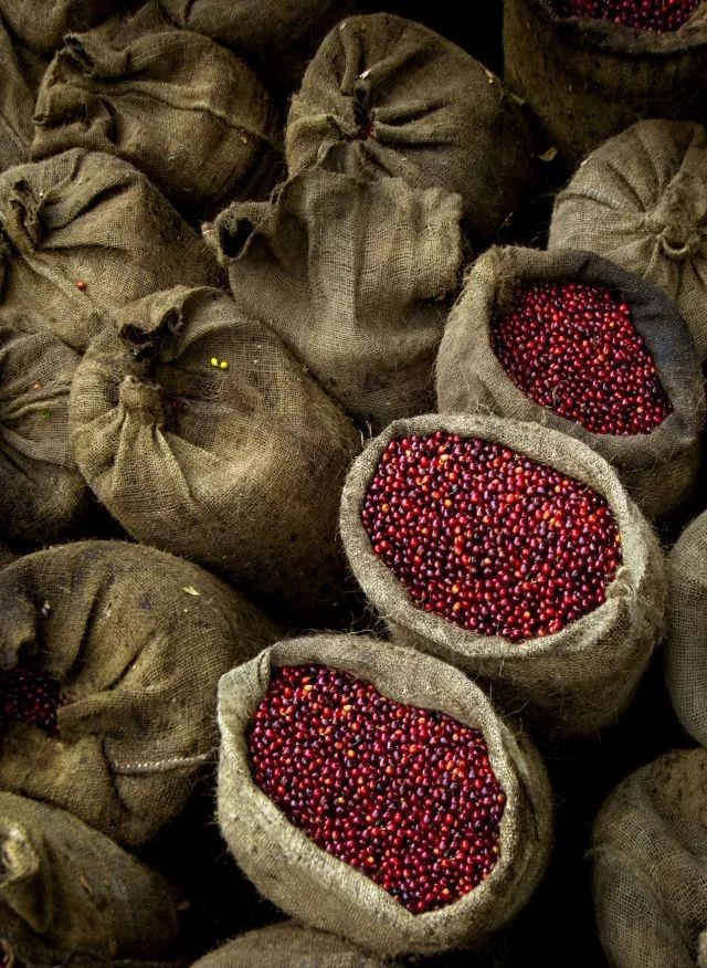 巴西足球一座城,巴西遍地都是足球场