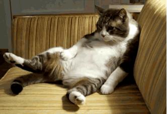 平价又好用的夏天水乳推荐,夏天水乳套装排行榜前十名平价