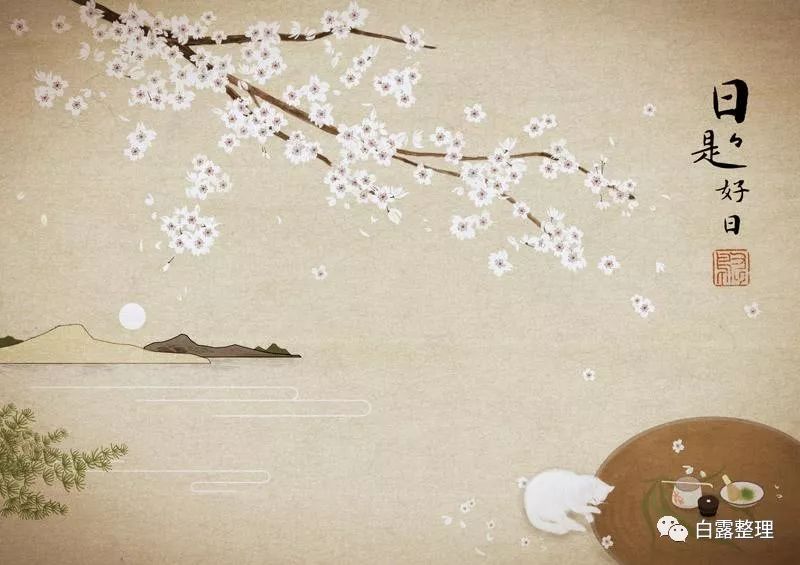 日本茶道文化深度解析,日本茶道有多美