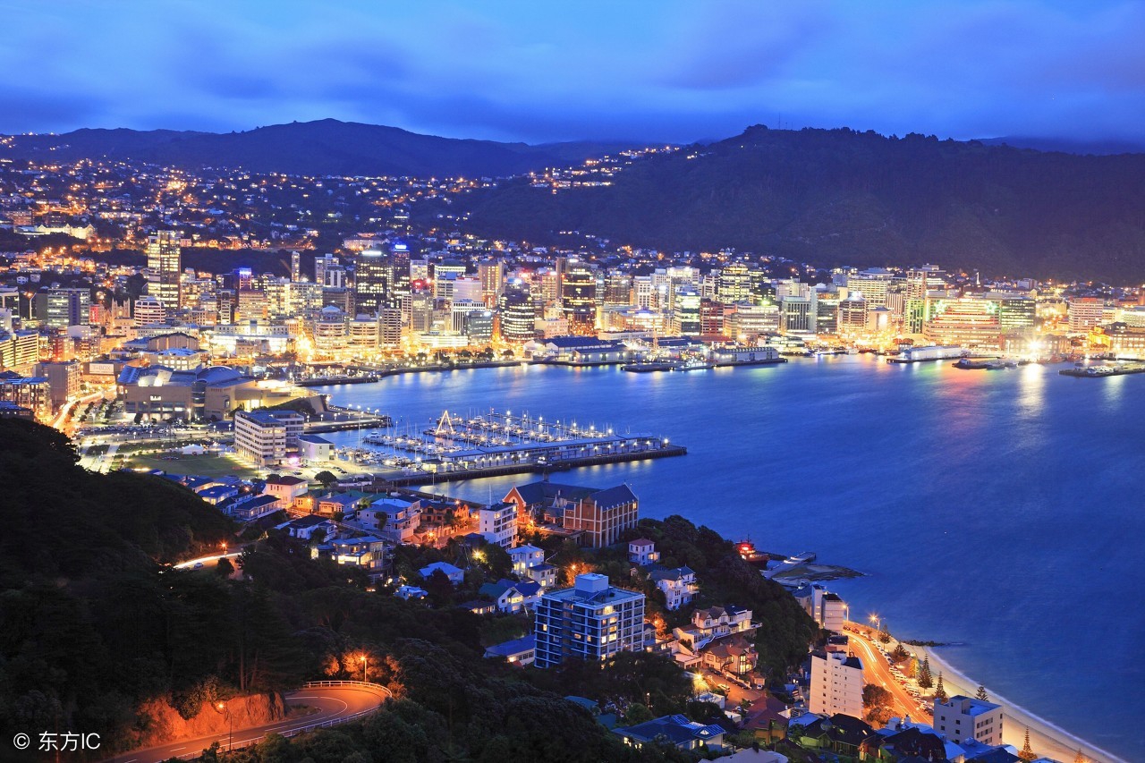 新西兰中国进口奶,新西兰乳制品出口