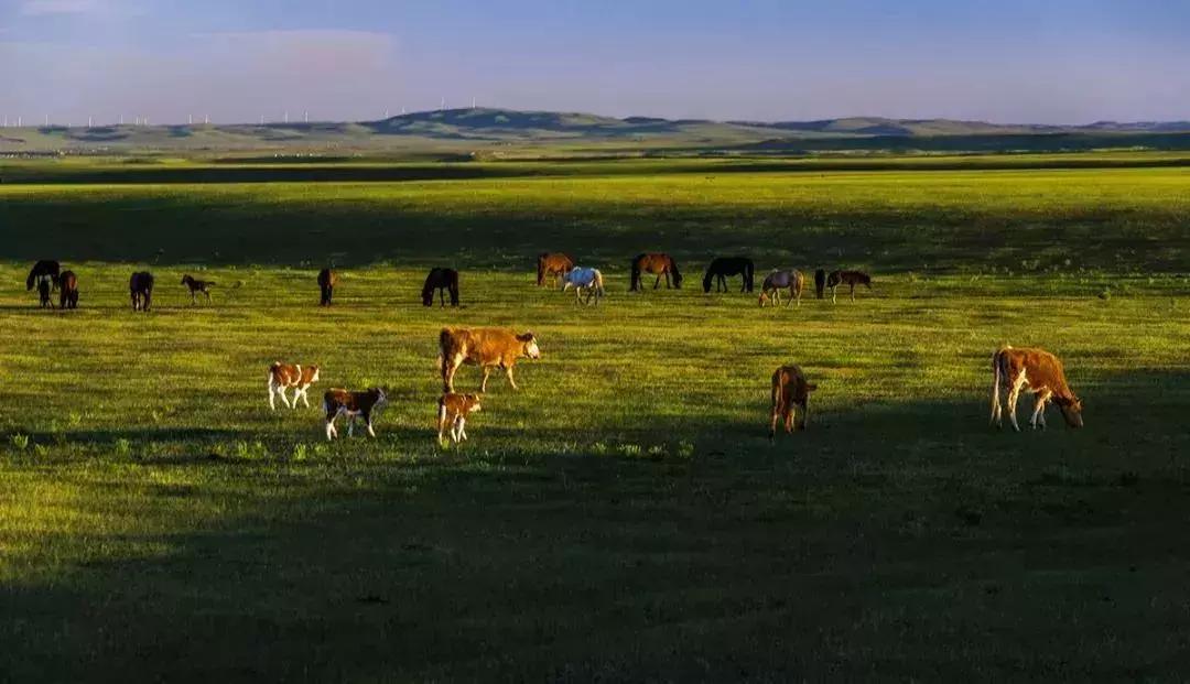 从天津出发的旅游专线 (天津出发12小时到达)
