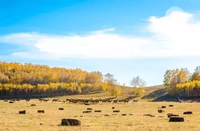 从天津出发的旅游专线 (天津出发12小时到达)