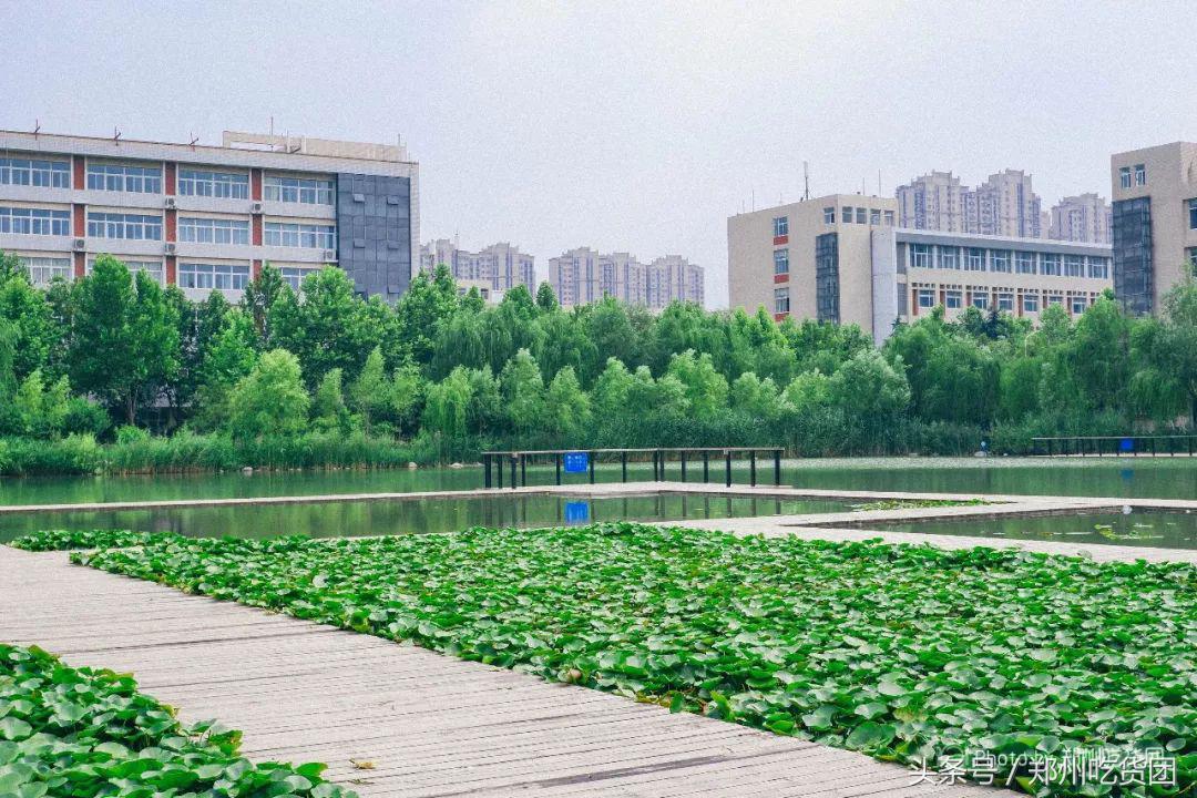 四年胖二十斤,四年胖20斤