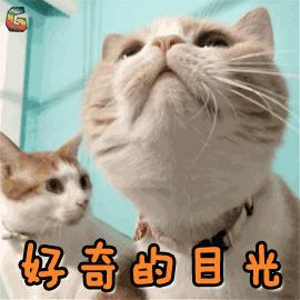 房企联合开发,地产强强联姻