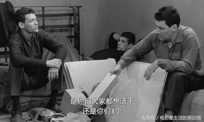 十部必看的越狱大片解说,最过瘾的十部越狱片