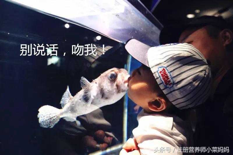 第一次带孩子出国游玩该去哪,独自带娃出国攻略