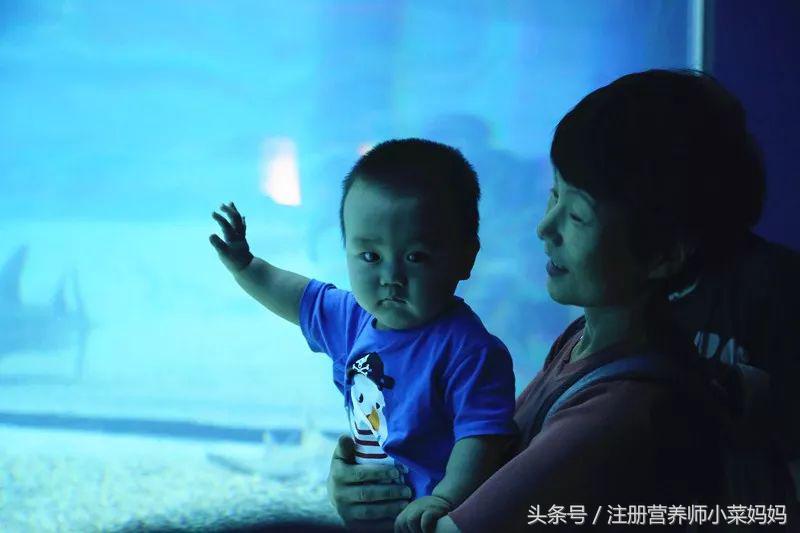 第一次带娃出国就选这！攻略都准备好啦