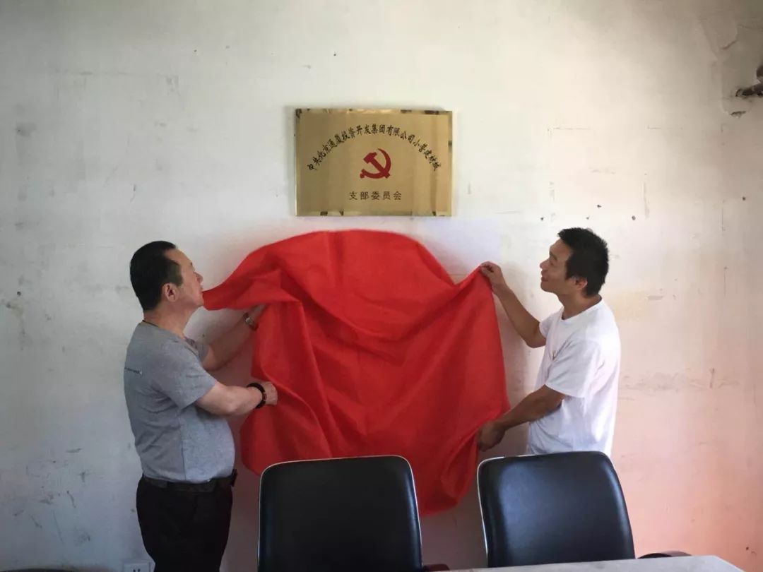 党建之窗展示,党委喜迎建党100周年活动成功举行