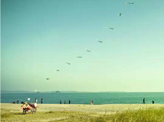 最新厦门六日游攻略,厦门六日游全攻略