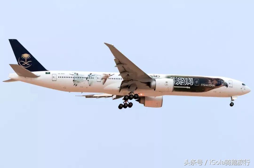 世界杯球队到达赛场,世界杯里的各个球队