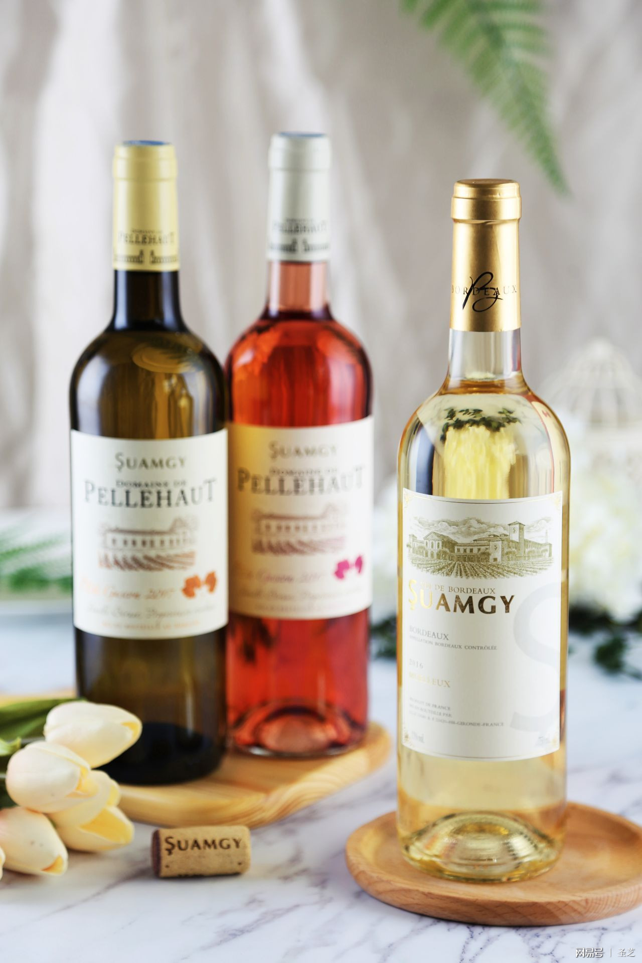 酿酒葡萄怎么吃,酿酒葡萄品种能吃吗