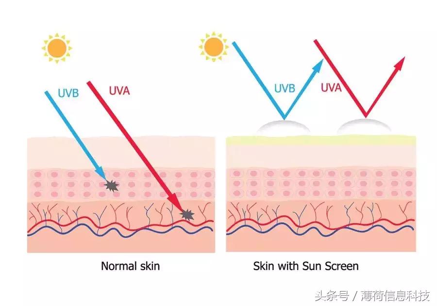 简单又靠谱的美白方法,美白小技巧早晚都行