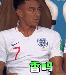 世界杯表情包emoji,世界杯吉祥物表情包