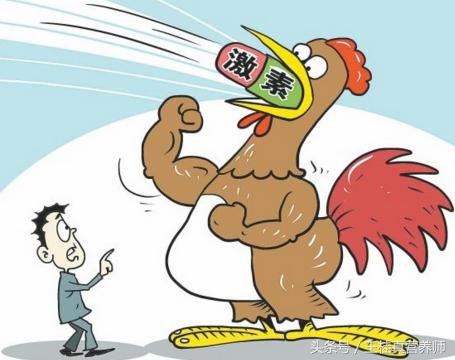 肉食鸡40天就出栏,激素鸡40天出栏