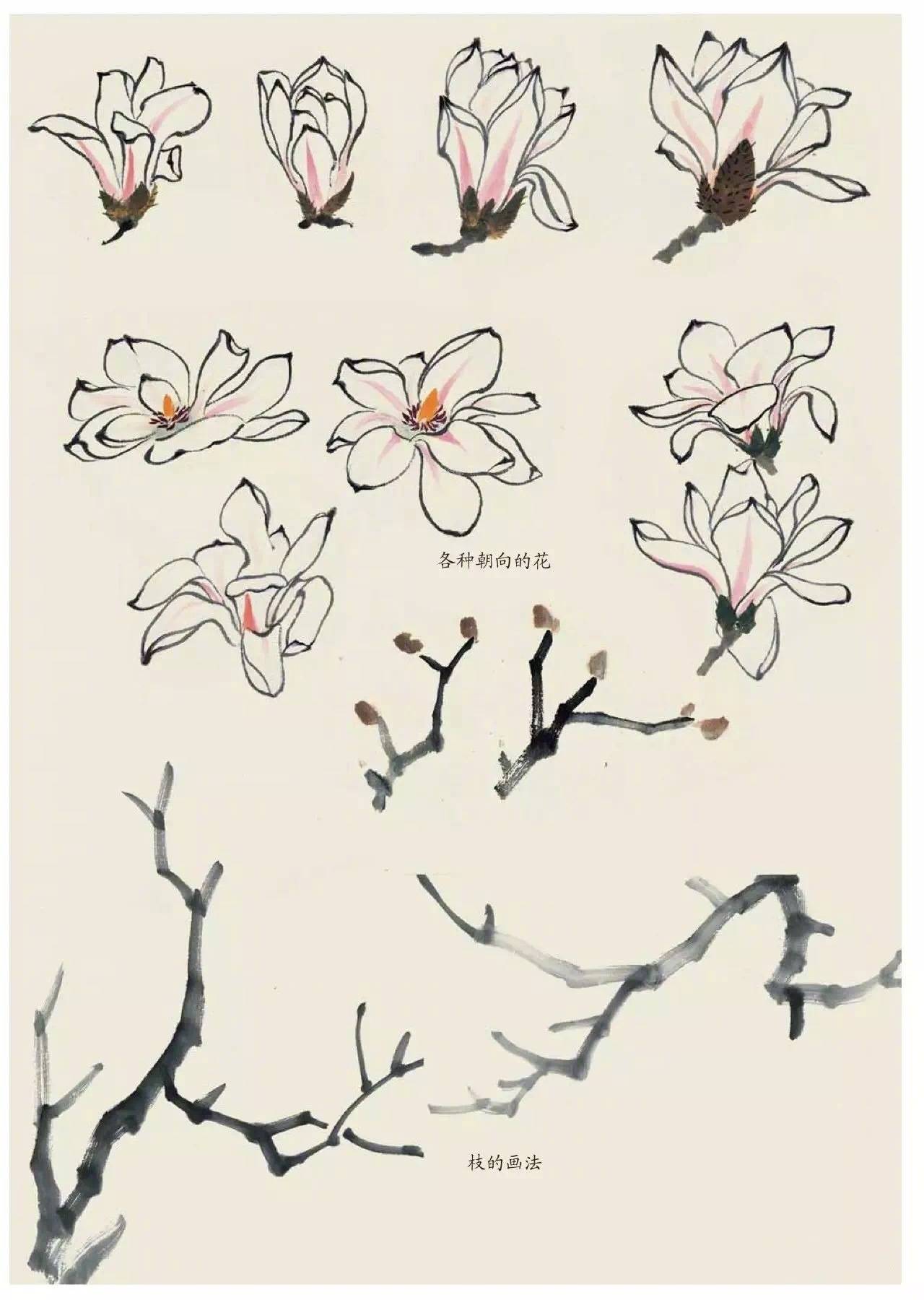 国画中的植物花卉小雏菊怎么画,国画花卉小品图片大全大图