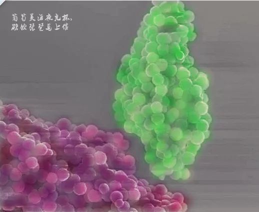 微观世界｜这样的世界杯，你见过吗？