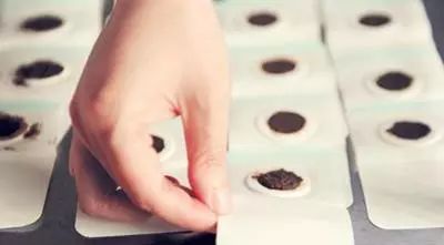 冬病夏治正当时，龙岗各大医院三伏贴攻略请收好！