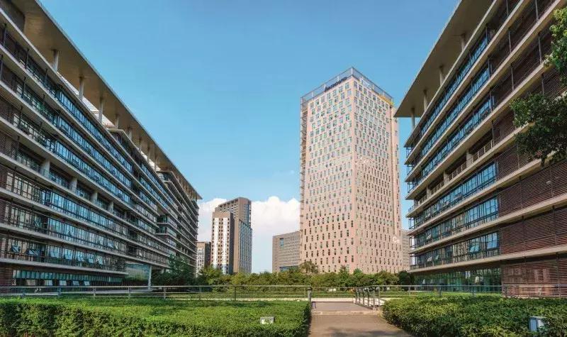 成都慢生活原因,成都为什么是慢节奏生活