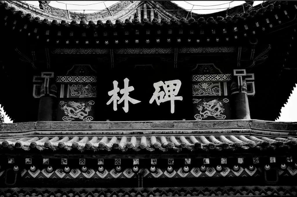 碑林怎么读,碑林的读音