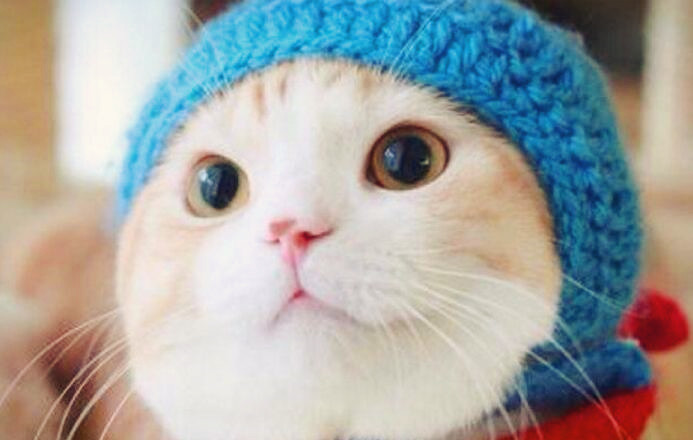 为什么有的小孩情商特别高,一个超高情商的孩子有多可怕