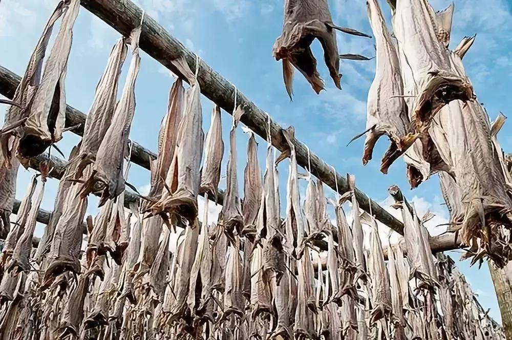 冰岛足球的风格,冰岛室内足球场