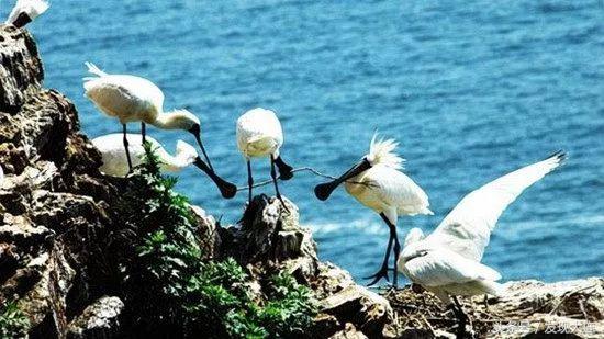 大连度假海岛旅游推荐,大连海岛自由行旅游攻略