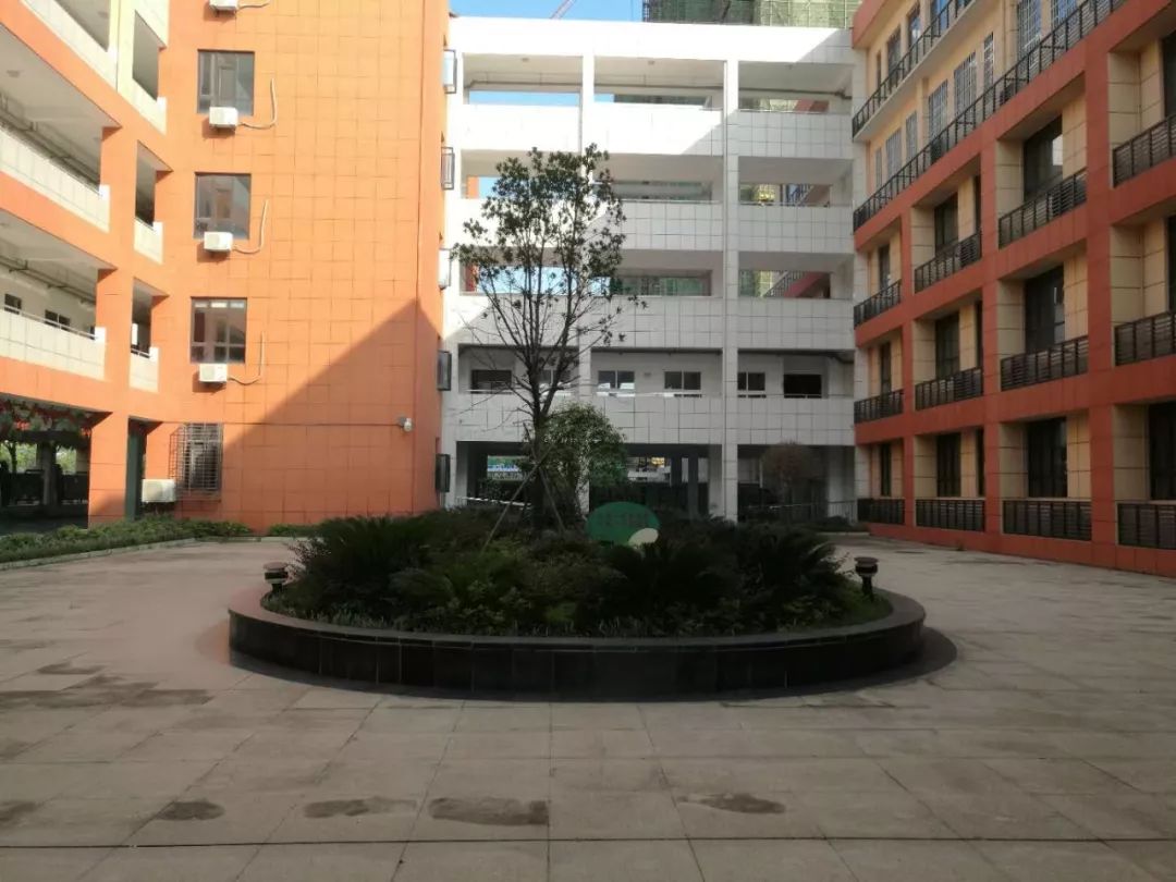 青菱片区这三所学校，足以让孩子开心、家长放心！