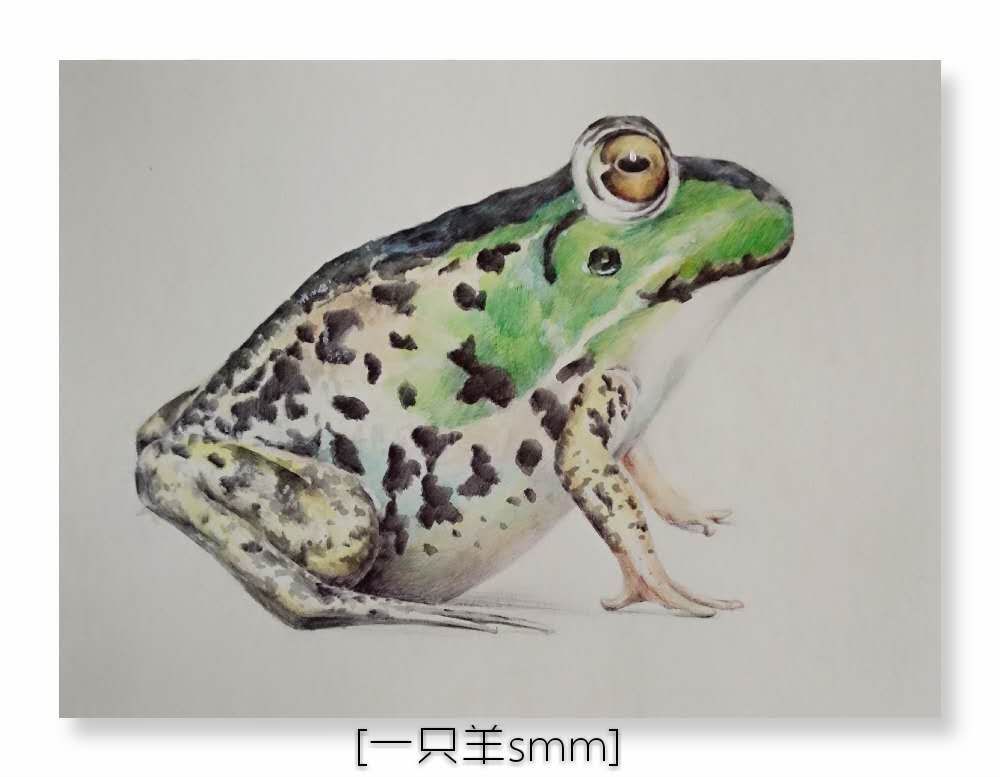 幸福原创画吧画友（7月11日）习作分享