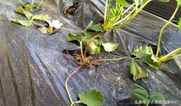 做到这7点疾病远离你,做到这7点让心血管健康一辈子