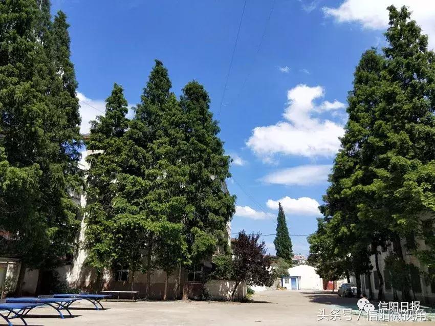 信阳七中小班,信阳七中小班怎么样