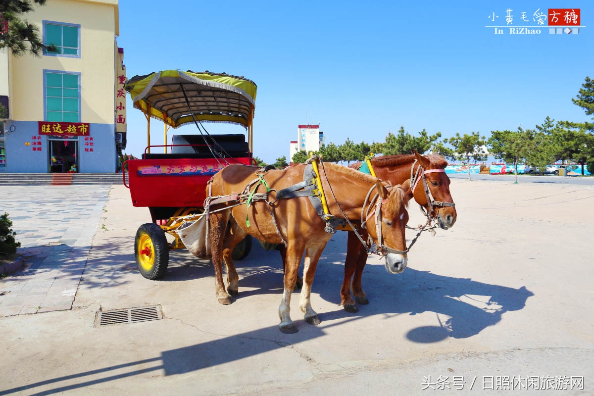 日照浴场海鲜攻略,日照海滨浴场旅游攻略