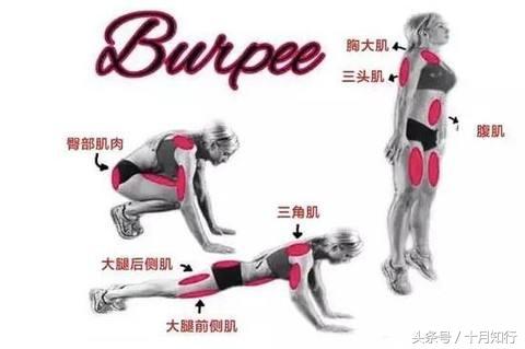 每天三十个波比跳的好处,波比跳每日100个动作