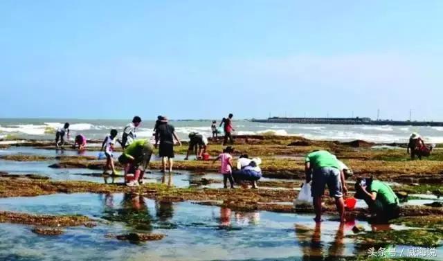 威海世界宜居城市排名,威海联合国宜居城市