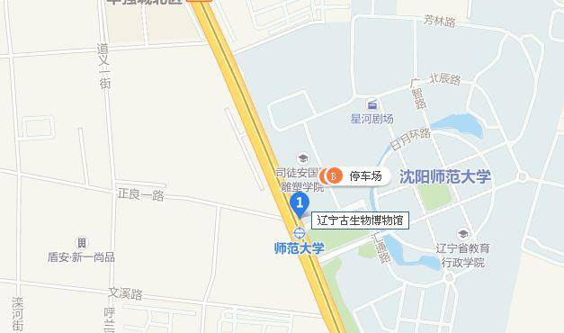 沈阳沈城最好玩的地方,周末沈阳旅游攻略