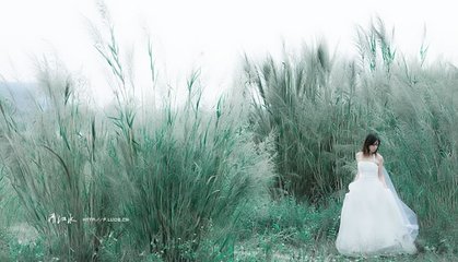 ps常用快捷键大全txt,PS常用快捷键总结