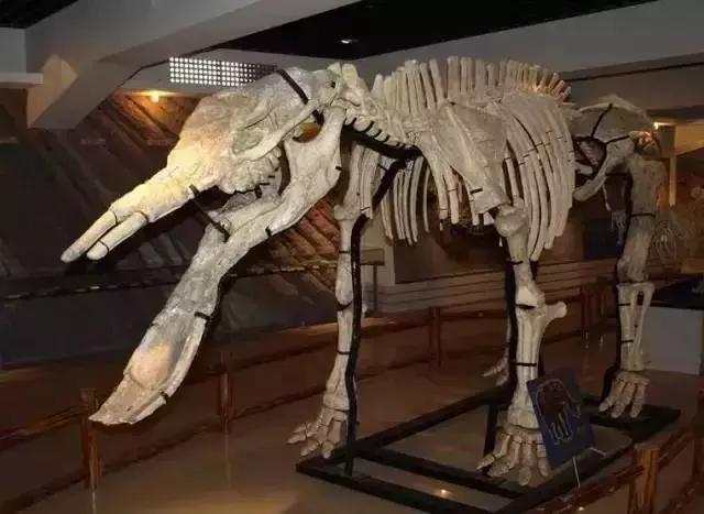 武汉下雨推荐去的地方,武汉室内凉快玩的地方