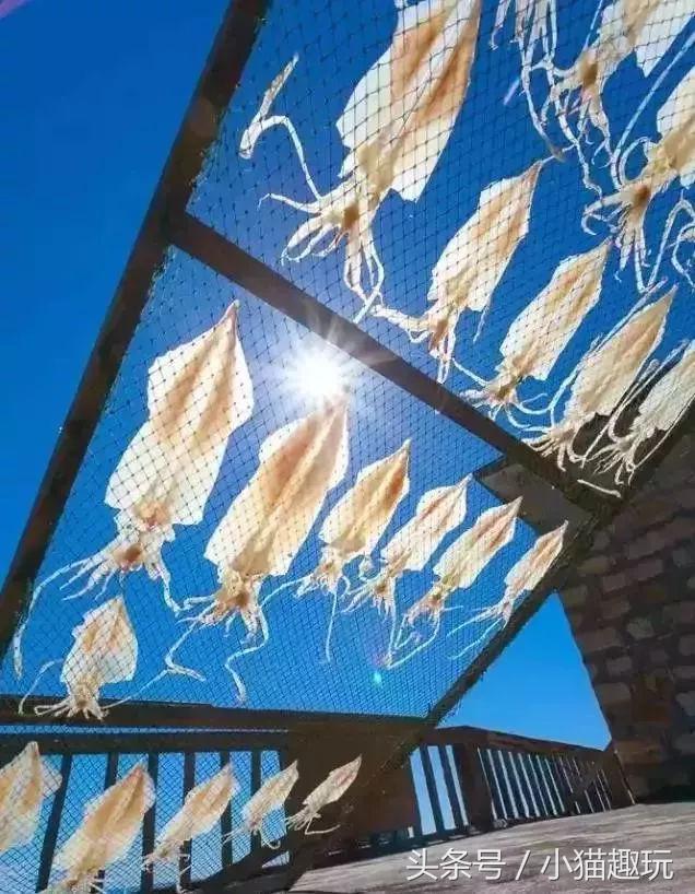 马尔代夫水清沙白,东莞绝美海岛