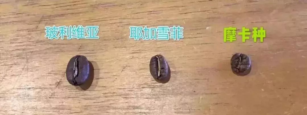 冻干咖啡和速溶咖啡成分区别,fiboo冻干咖啡与速溶咖啡区别