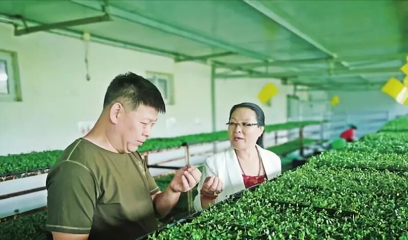 农情,农情怎么写