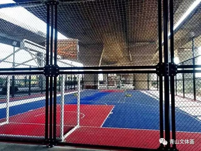 戴家湖附近足球场,戴家湖公园足球场免费吗