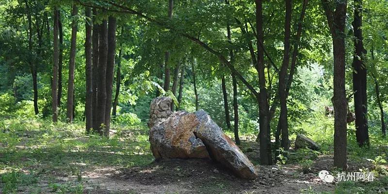 神游生态馆,抚顺新宾猴石森林公园天气预报