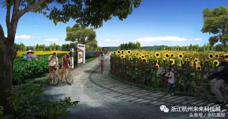 一大片向日葵花海视频,向日葵花海临平