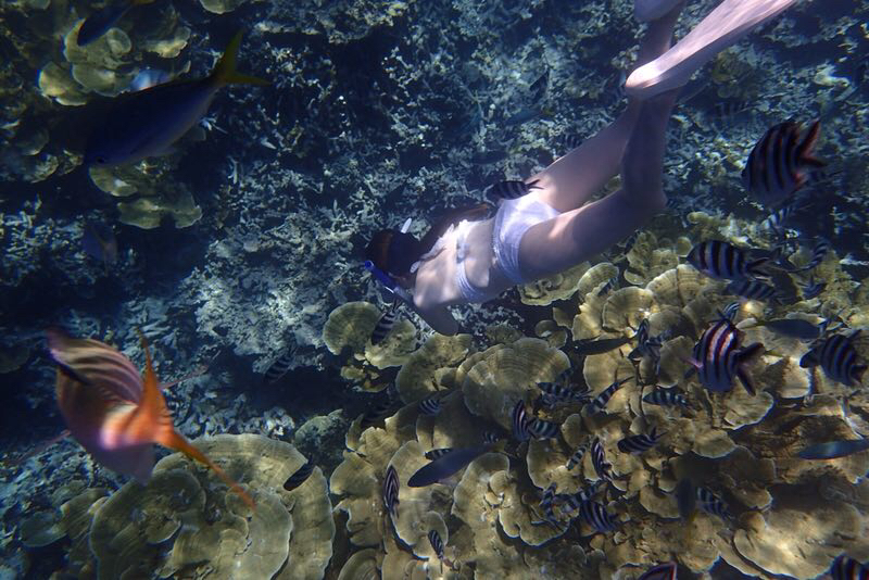 帕劳海岛游哪最好,帕劳海岛必去景点