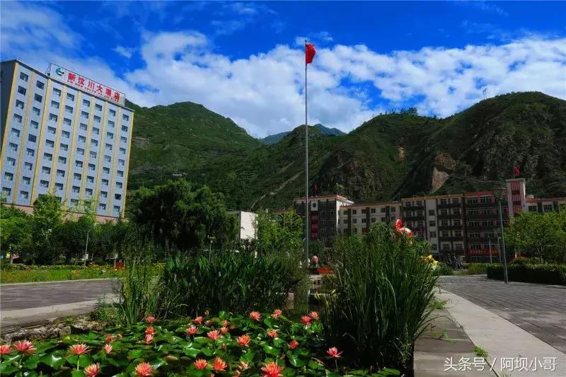 相约盛夏七月，康养汶川的李子熟了！花椒红了！