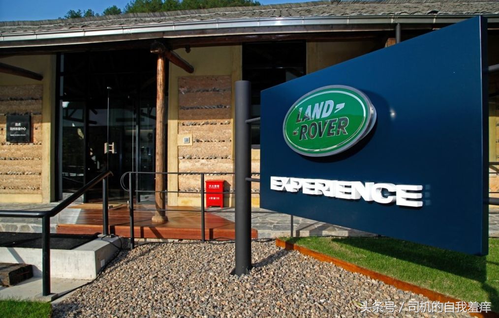 如果你想体验征服感，那养一头猛虎应该是不错的选择